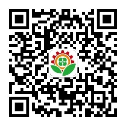 硅橡膠硫化機(jī)